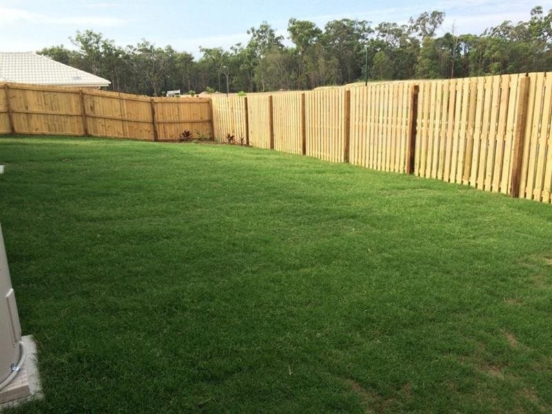 16 Jotown Drive, Coomera QLD 4209