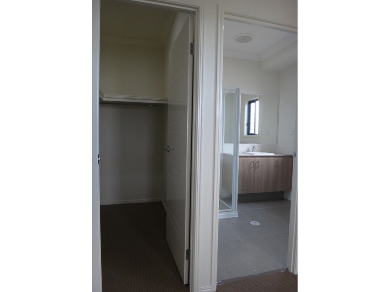 22 Hasemann Crescent, Upper Coomera QLD 4209