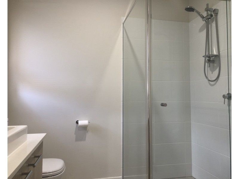 62 Almandin Street, Logan Reserve QLD 4133