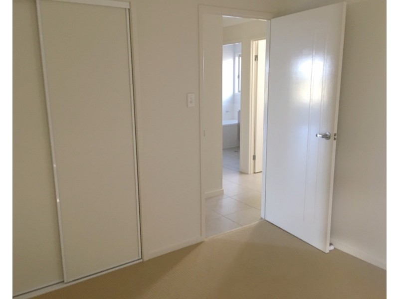 50 Fountain Street, Pimpama QLD 4209