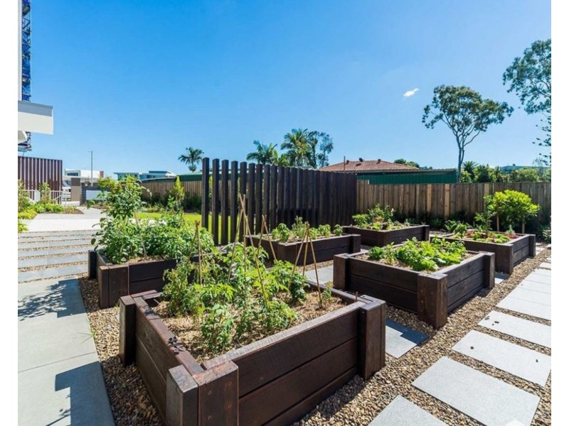 43/93 Sheehan Avenue, Hope Island QLD 4212