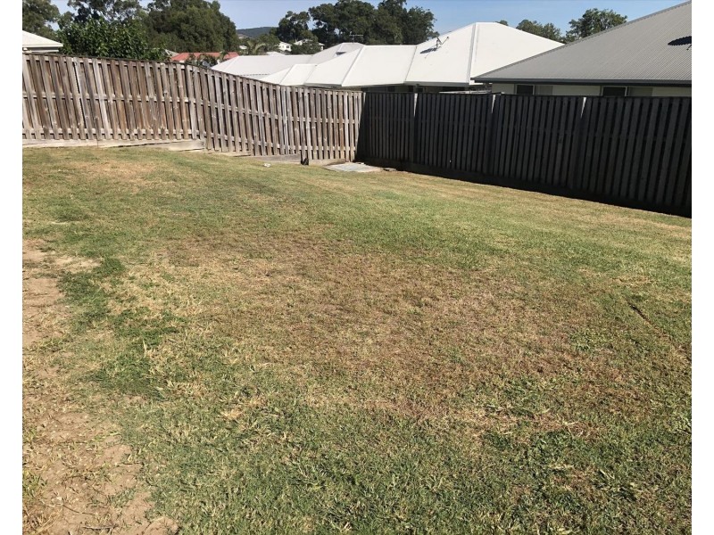 19 Hazelmere Crescent, Ormeau QLD 4208