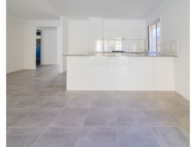 53 Village Boulevard, Pimpama QLD 4209