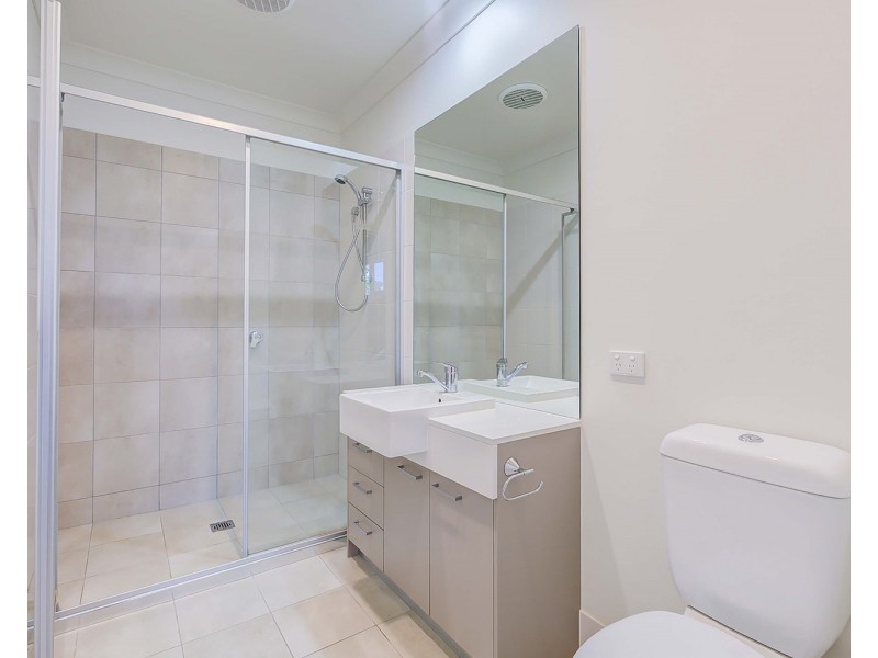 41 Apple Berry Avenue, Coomera QLD 4209