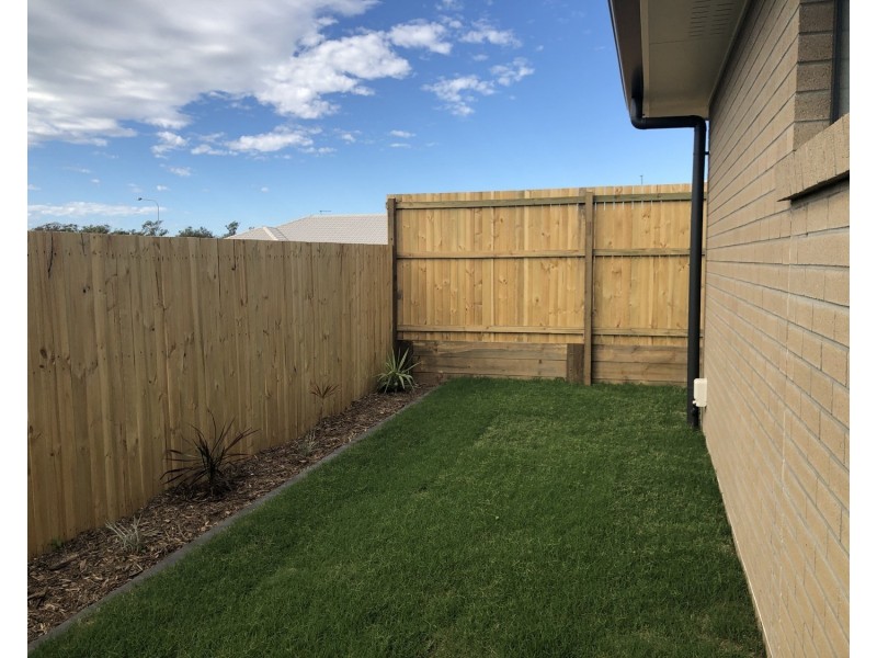 19 Jeremy Street, Coomera QLD 4209