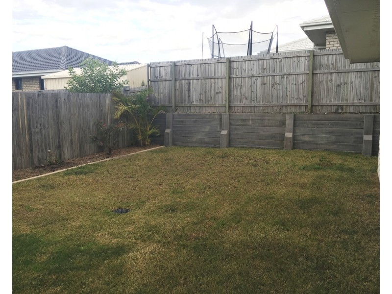 31 Hasemann Crescent, Upper Coomera QLD 4209