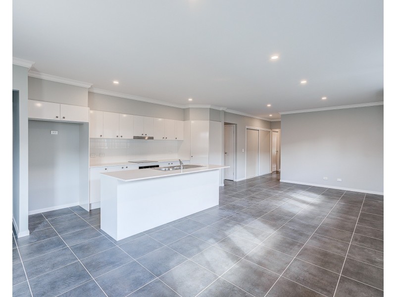 58 Aspen Circuit, Logan Reserve QLD 4133
