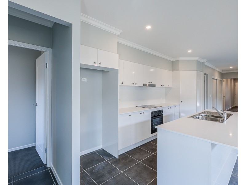 58 Aspen Circuit, Logan Reserve QLD 4133