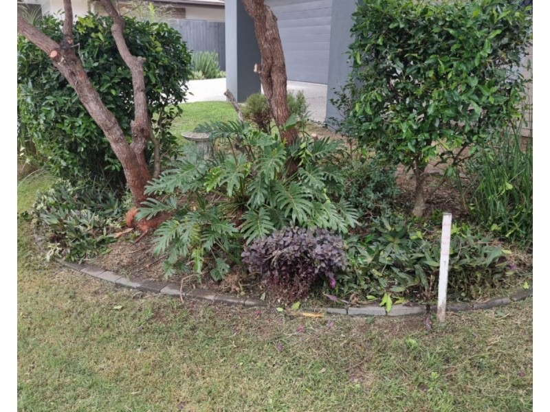 122 Brookhaven Boulevard, Bahrs Scrub QLD 4207