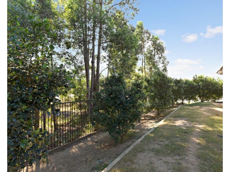 13 Lisa Crescent, Coomera QLD 4209