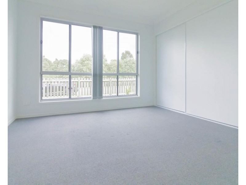 15 Damian Leeding Way, Upper Coomera QLD 4209