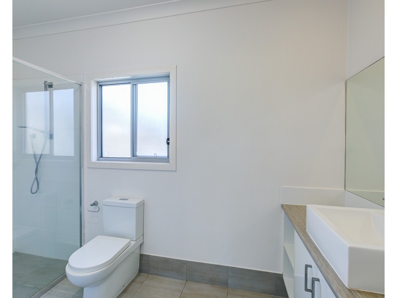 64 Jamieson Street, Bulimba QLD 4171