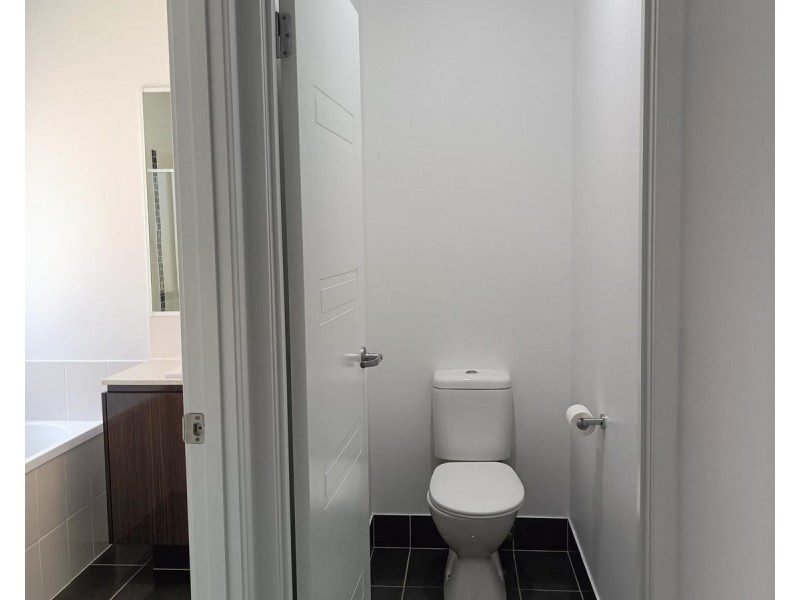 16 Leabrook Place, Pimpama QLD 4209