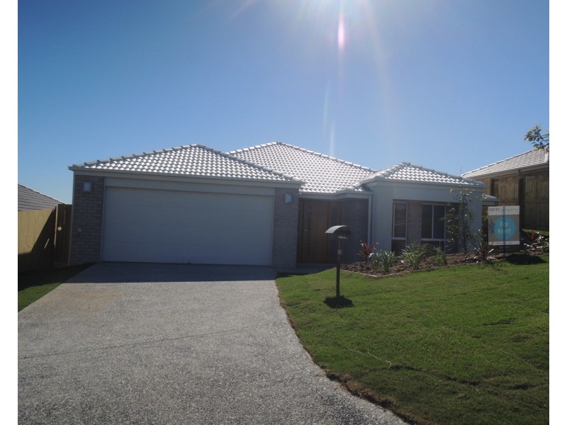 8  sapphire Place, Pimpama QLD 4209