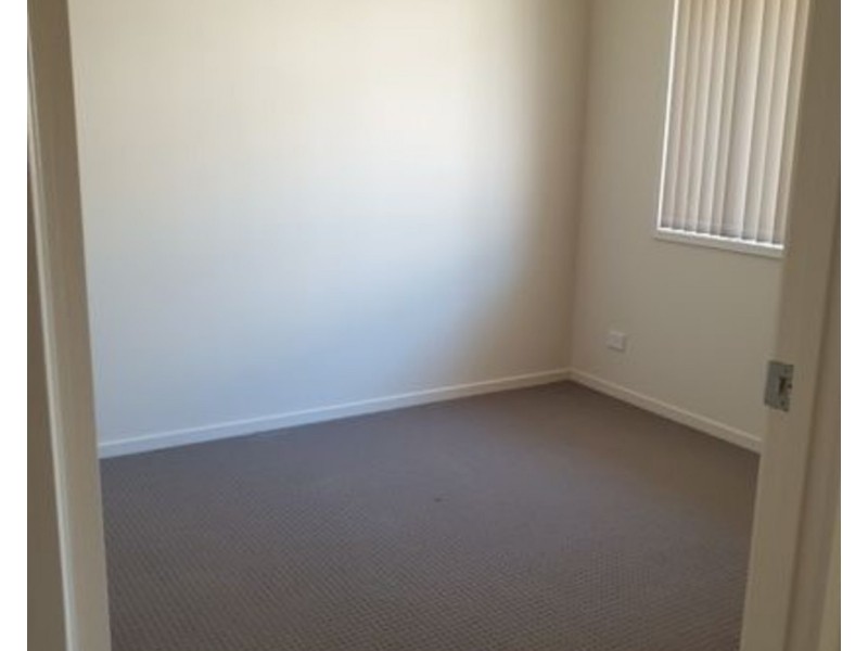 21 Cairnlea Drive, Pimpama QLD 4209