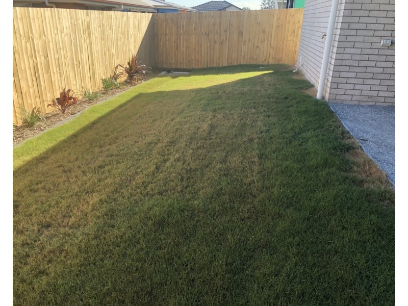 203 Goldmine Road, Ormeau QLD 4208