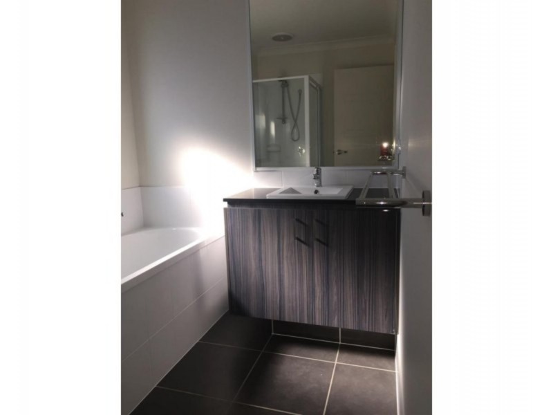 5 Jotown Drive, Coomera QLD 4209