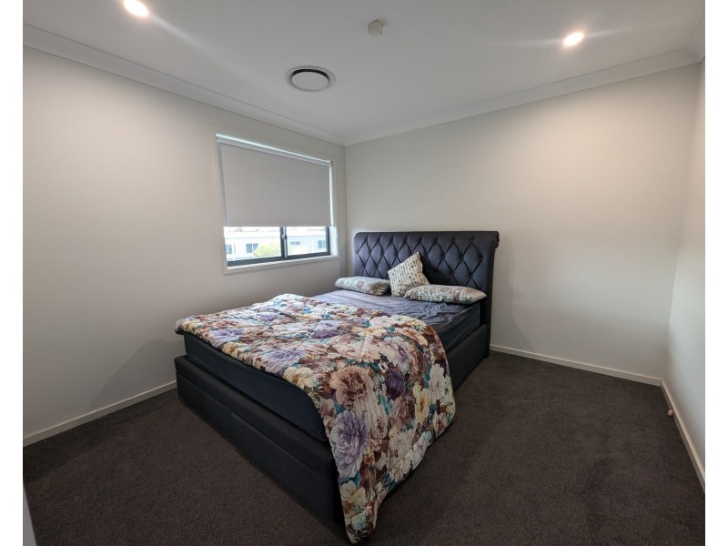 66 Great Sandy Circuit, Pimpama QLD 4209