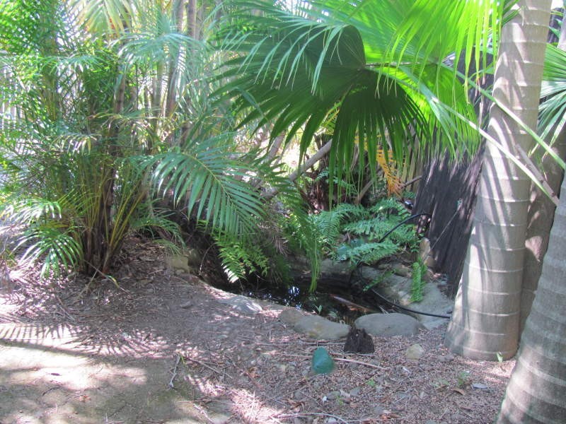 12 Chuter Ave, Southport QLD 4215