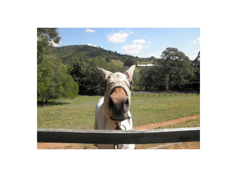 289 Ruffles Rd, Willow Vale QLD 4209