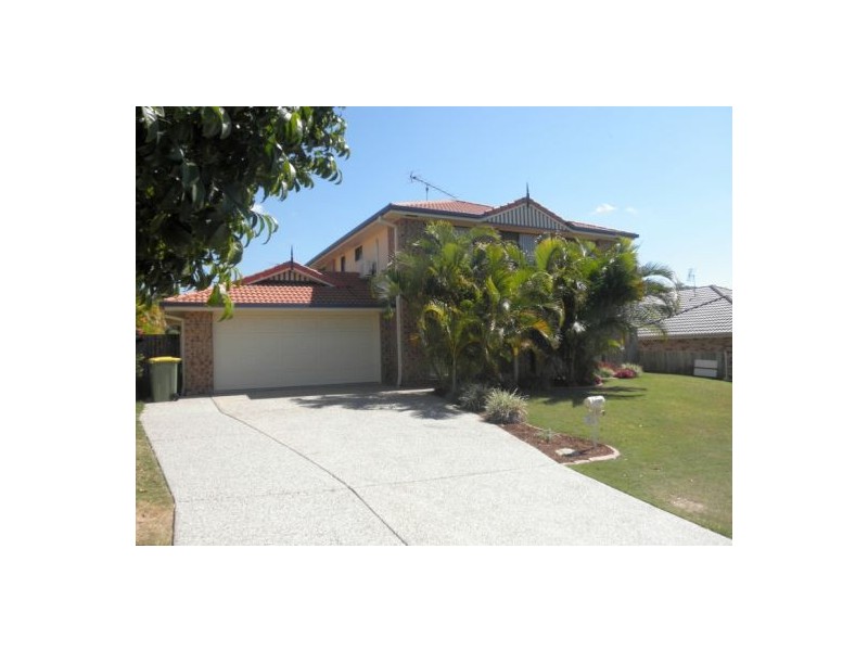 17 Bluetail Cres, Upper Coomera QLD 4209