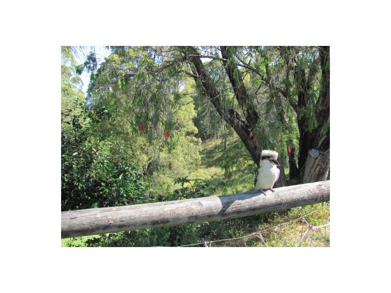 74 Rosemount Drive, Willow Vale QLD 4209