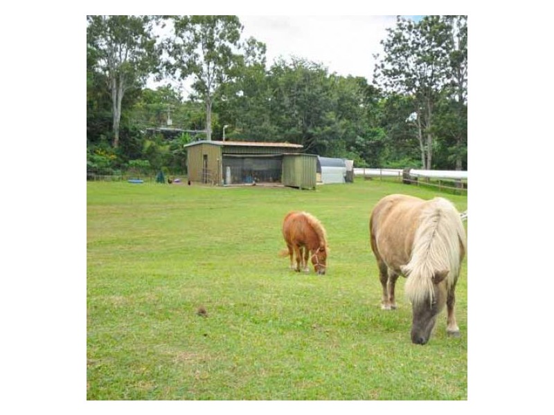 64 Worongary Road, Worongary QLD 4213