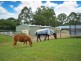 64 Worongary Road, Worongary QLD 4213