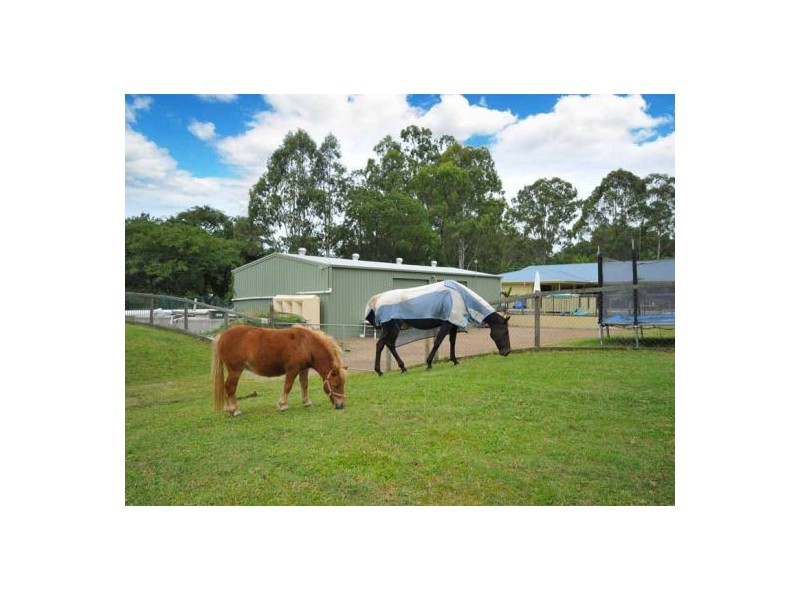 64 Worongary Road, Worongary QLD 4213