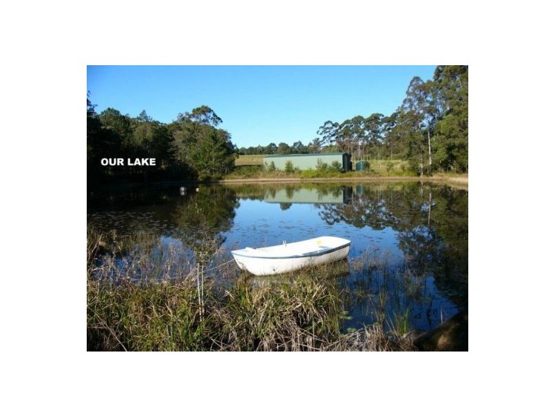 50 Firewheel Road, Ringtail Creek QLD 4565