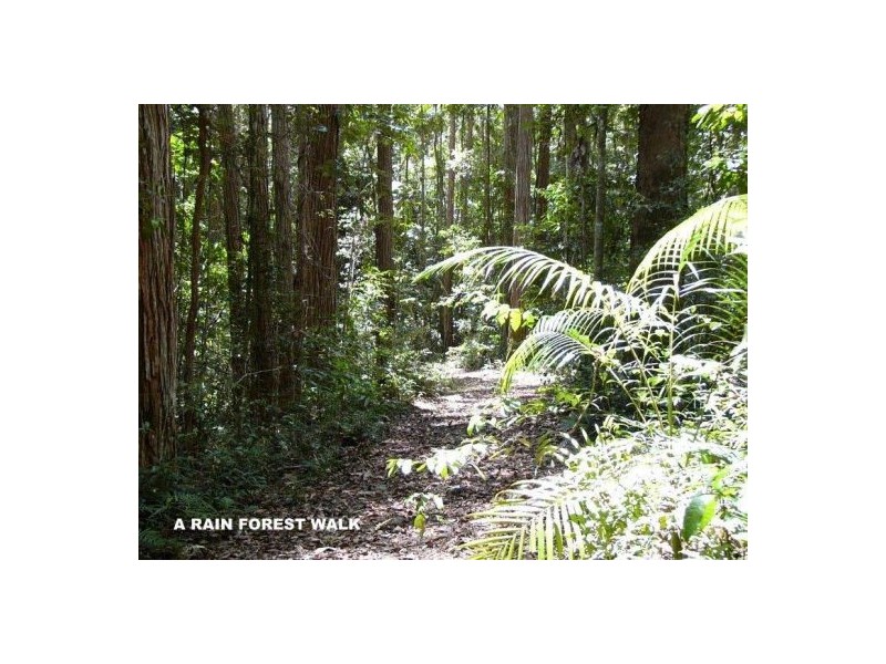 50 Firewheel Road, Ringtail Creek QLD 4565