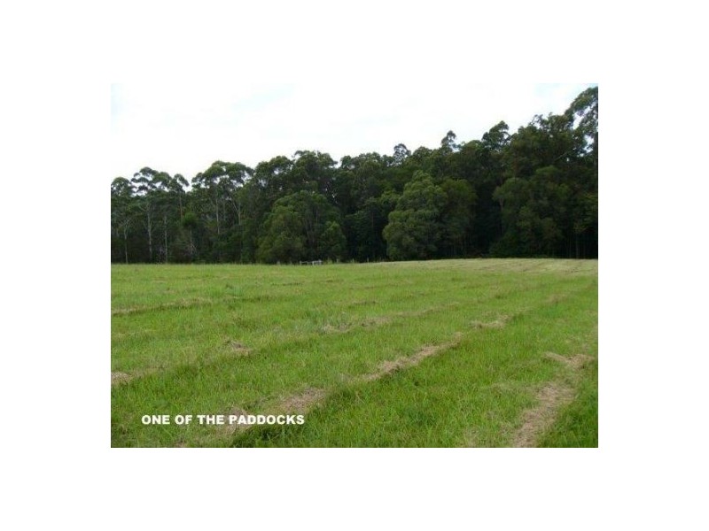 50 Firewheel Road, Ringtail Creek QLD 4565