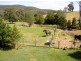 Cedar Creek QLD 4207