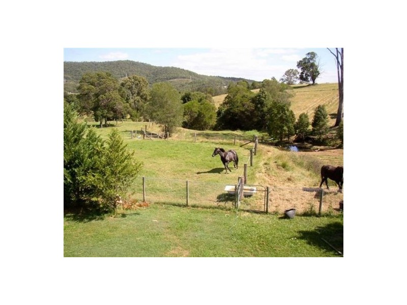 Cedar Creek QLD 4207