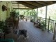 Cedar Creek QLD 4207