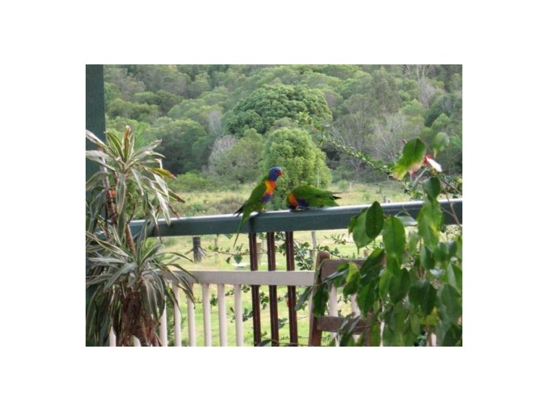 Cedar Creek QLD 4207
