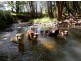 Cedar Creek QLD 4207
