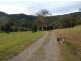 Cedar Creek QLD 4207
