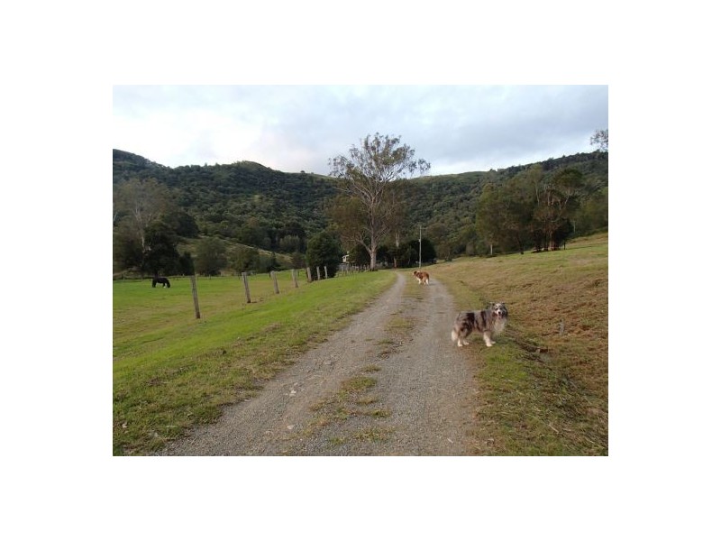 Cedar Creek QLD 4207