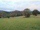 Cedar Creek QLD 4207