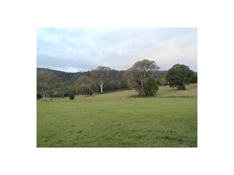 Cedar Creek QLD 4207