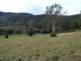 Cedar Creek QLD 4207