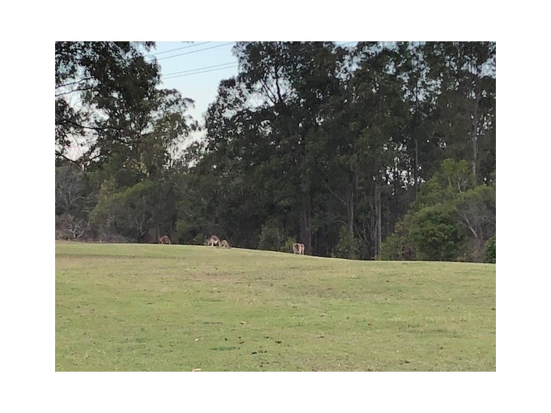 71 Paluna Street, Riverhills QLD 4074