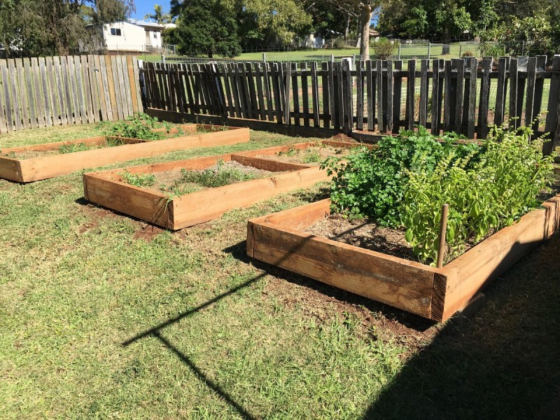 8 Norah Street, Centenary Heights QLD 4350