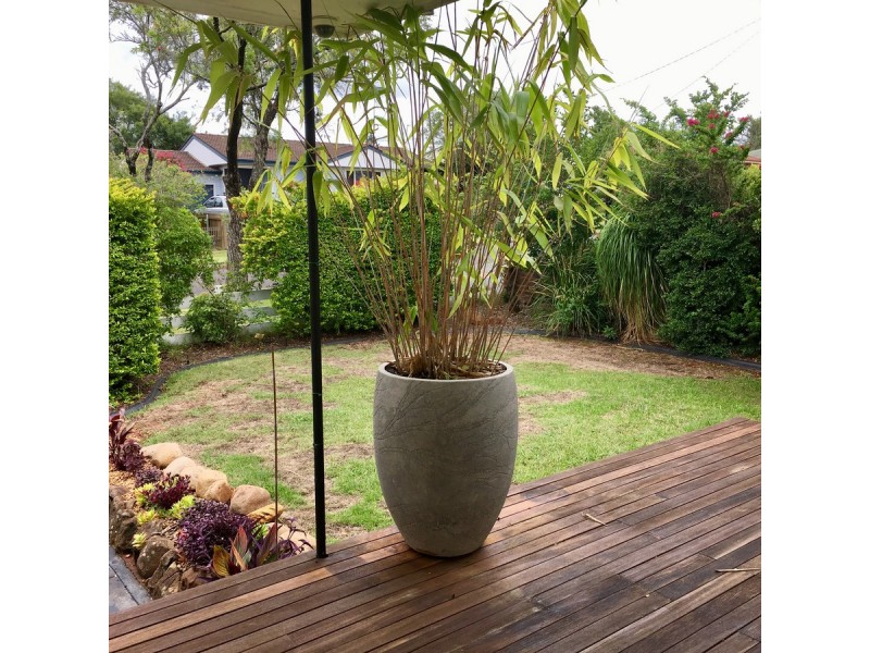 16 Challenor Street, Rockville QLD 4350