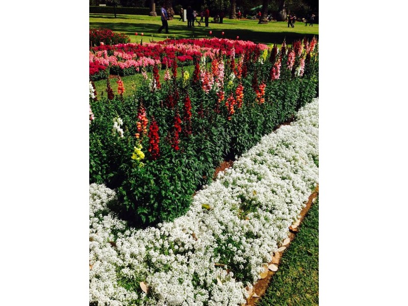 66 Campbell Street, East Toowoomba QLD 4350