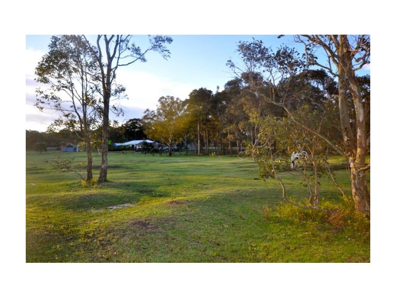 6 Sanctuary Place, Wallalong NSW 2320