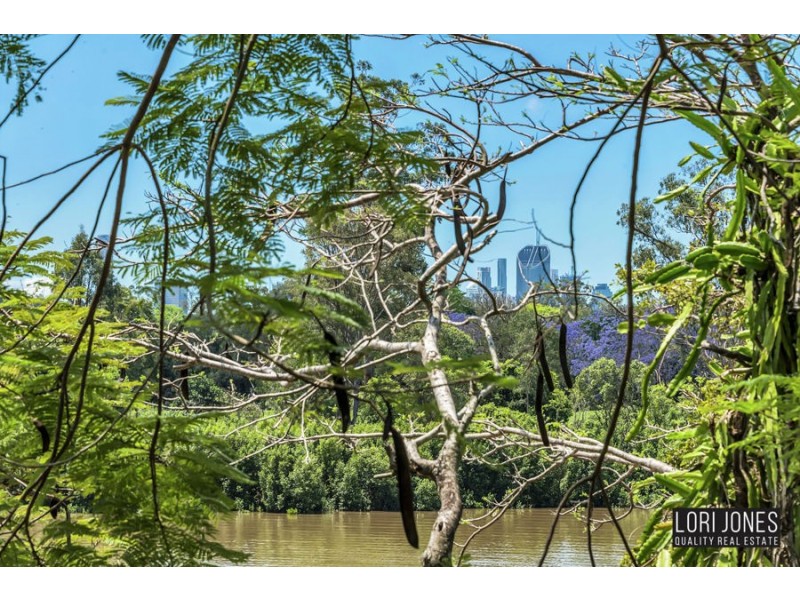 19 King Arthur Terrace, Tennyson QLD 4105