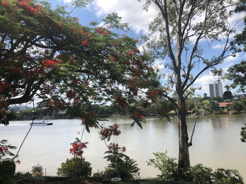 4/136 Macquarie Street, St Lucia QLD 4067