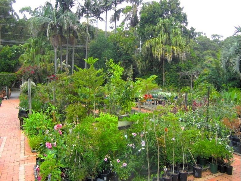 5 Cashman Road, Ulladulla NSW 2539